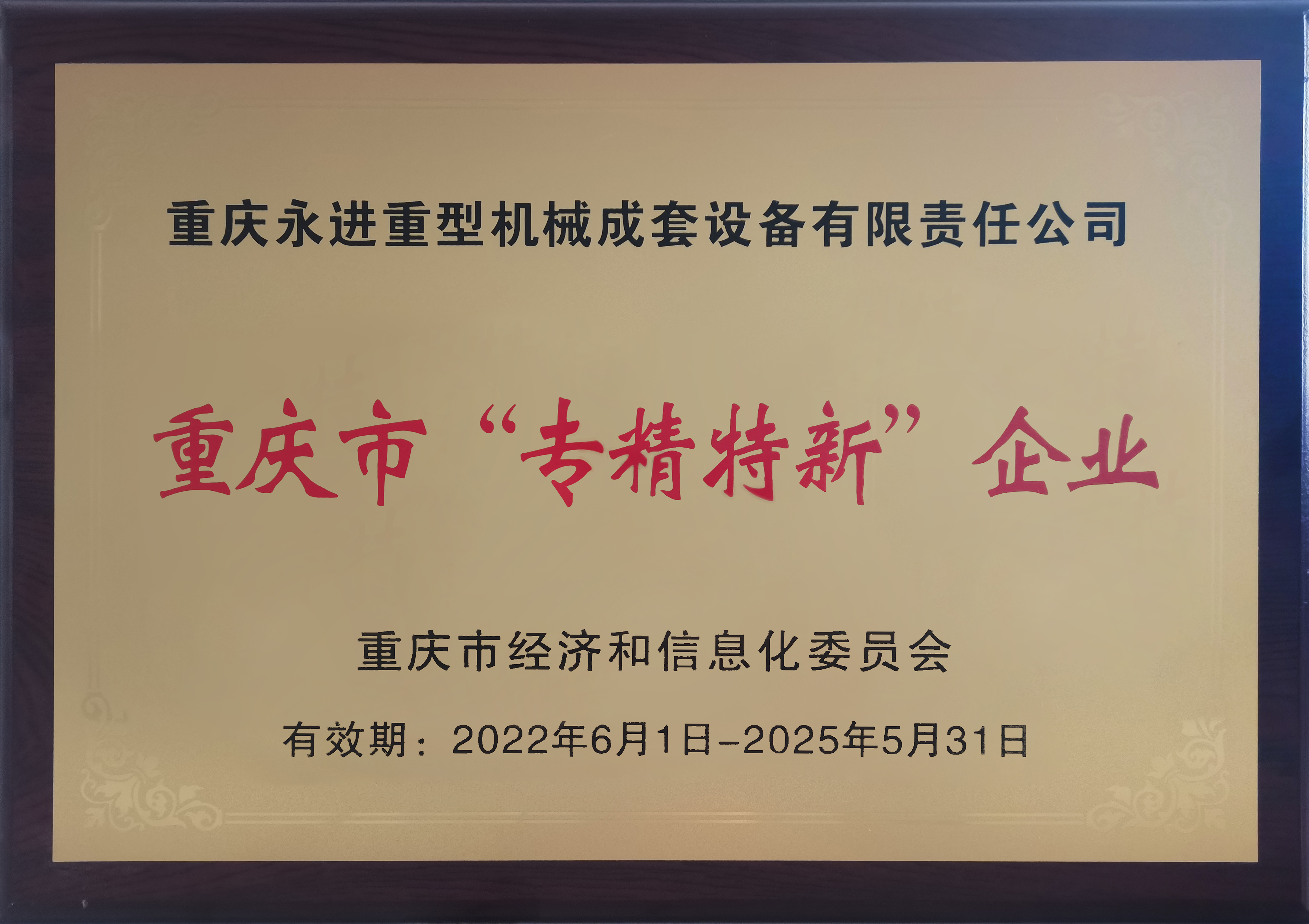 重慶市“專精特新企業”