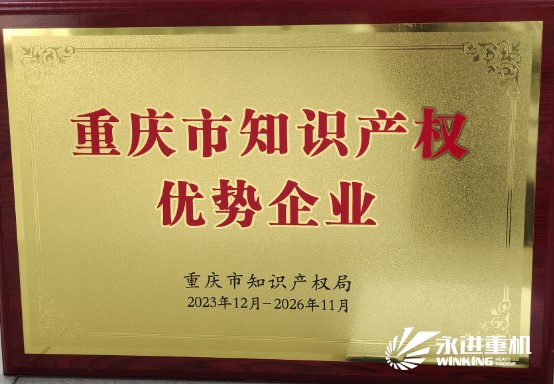 重慶市知識(shí)產(chǎn)權(quán)優(yōu)勢企業(yè)